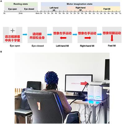 Electroencephalography-based biological and functional characteristics of spinal cord injury patients with neuropathic pain and numbness